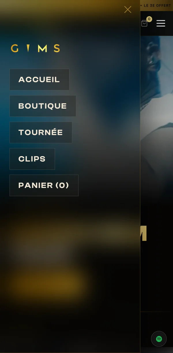 The menu open on a phone